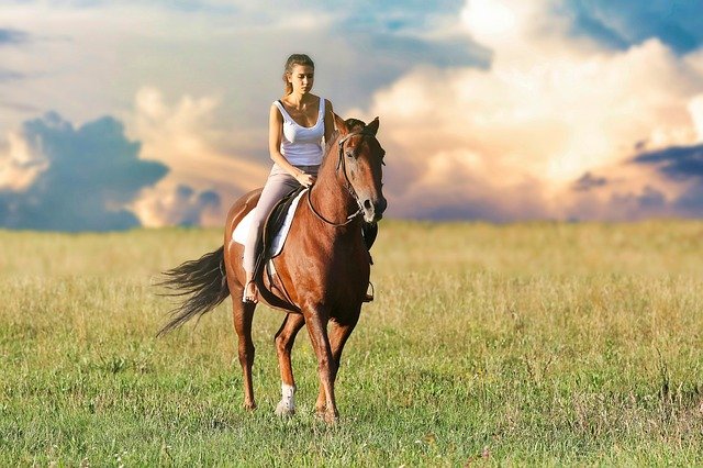 馬に乗る女性
